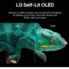 LG OLED 65 4K UHD Smart TV OLED65B46LA